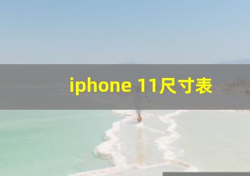 iphone 11尺寸表